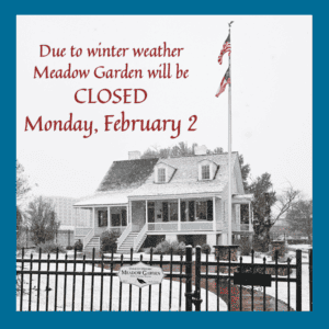 Meadow Garden in the snow